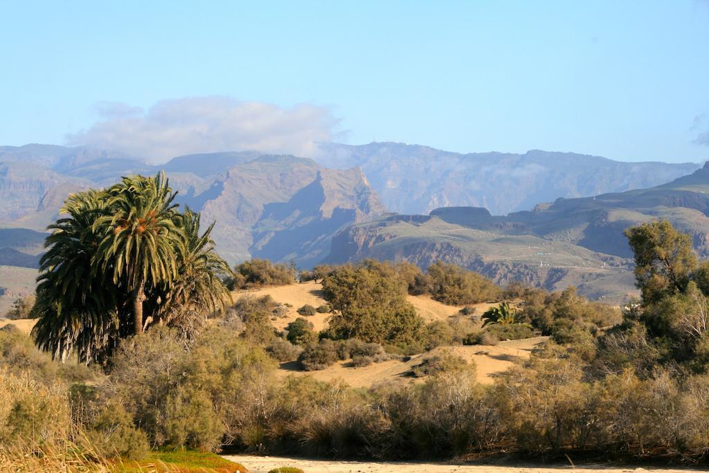 Apartamentos El Capricho Maspalomas  Exteriör bild
