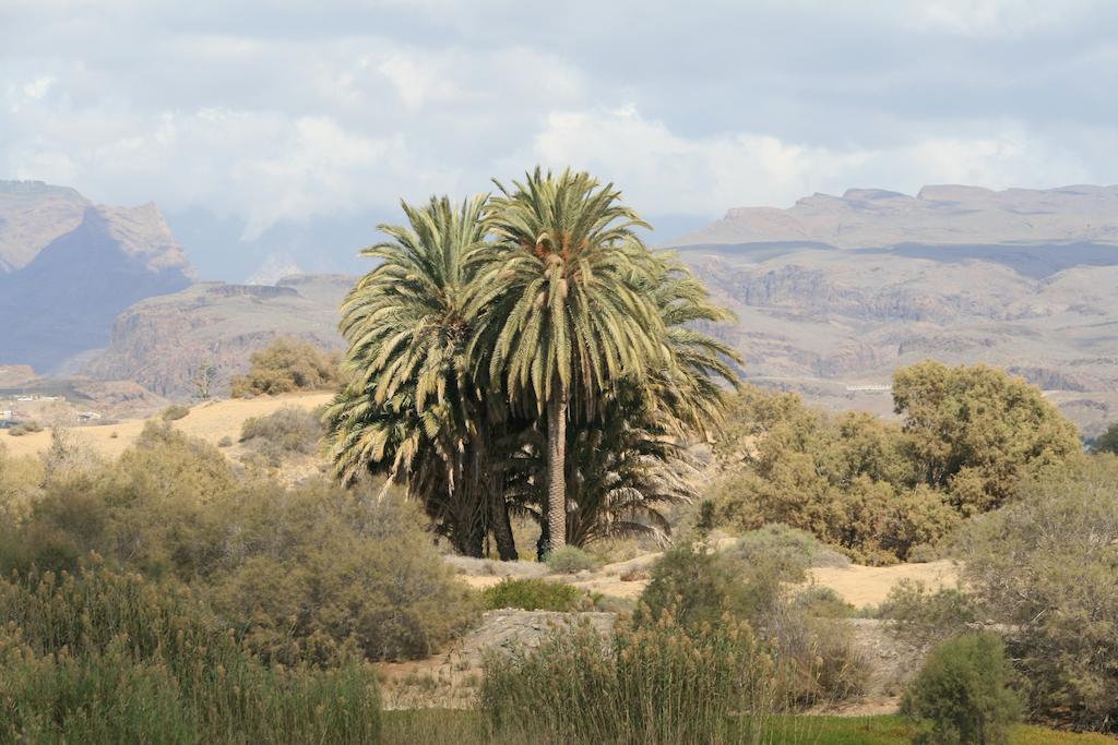 Apartamentos El Capricho Maspalomas  Exteriör bild